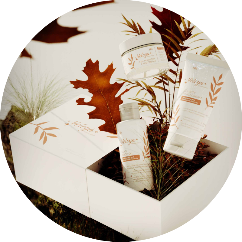 Cuidados para Mamãs e Papás